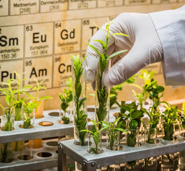 Pharmaceutical laboratory testing of pesticides on plants